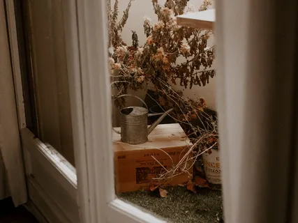 木箱上的浇水罐