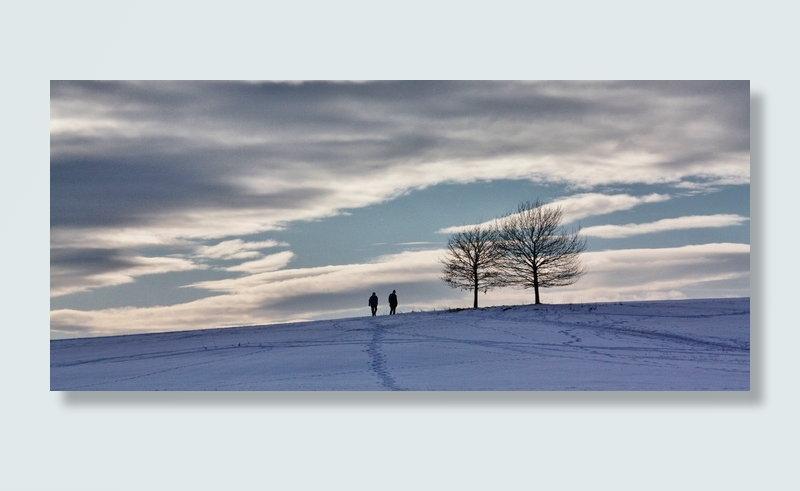 冬天，雪，自然，全景，寒冷，天空，霜冻，冰冻