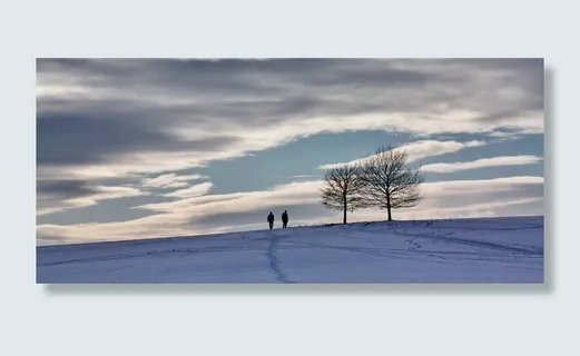 冬天,雪,自然,全景,寒冷,天空,霜冻,冰冻 冬天,雪,自然,全景,寒冷,天空,霜冻,冰冻