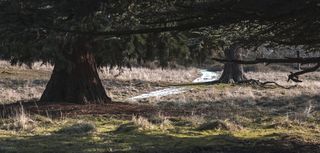 nature，lonodon，outdoors，cool，高清壁纸，natural，amazing，awesome