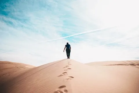 冒险,孤独,干旱,贫瘠,黎明,日光,沙漠,干燥 冒险,孤独,干旱,贫瘠,黎明,日光,沙漠,干燥
