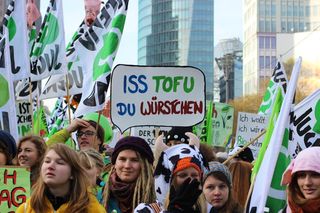 集会, 传单, 禁欲主义, 人类, 国旗, 素食主义者, 示范, 一群人