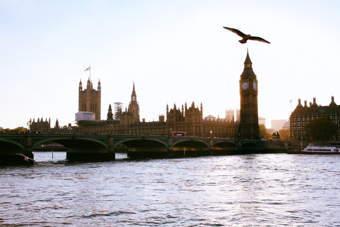 英国, 伦敦, 大笨钟, 体系结构, 建筑结构, 建筑外观, 鸟, 桥