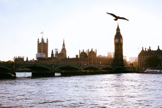 英国, 伦敦, 大笨钟, 体系结构, 建筑结构, 建筑外观, 鸟, 桥