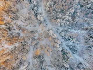 寒冷、雪、森林、图案、上方、鸟瞰、鸟瞰、日光