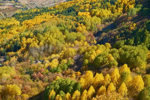 秋天,季节,风景,自然,美丽,背景,户外,枯叶 秋天,季节,风景,自然,美丽,背景,户外,枯叶