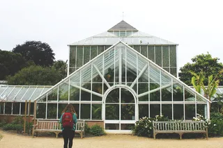 建筑、后视图、长凳、植物学、建筑、施工、日光、外部