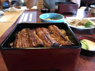 日本料理，日本，烤，食品和饮料，食品，肉，餐桌，即食