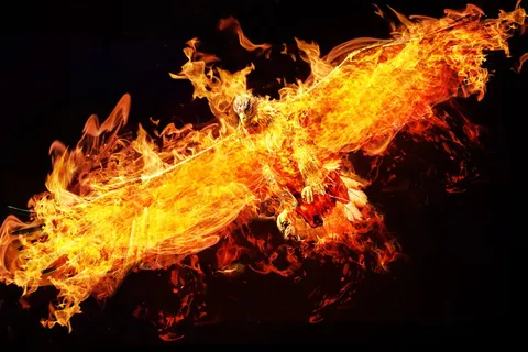 火鸟插画、凤凰、photoshop、阿德勒、火、鹰、数字艺术、feuervogel 火鸟插画、凤凰、photoshop、阿德勒、火、鹰、数字艺术、feuervogel