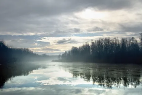 湖景、环绕、树木、河流、霜冻、冬天、寒冷、霜冻 湖景、环绕、树木、河流、霜冻、冬天、寒冷、霜冻