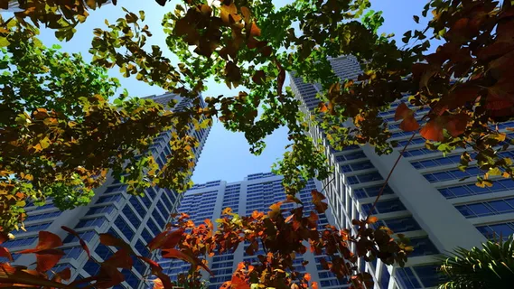 购物、中心、建筑、商业、外部、树木、植物、建筑外部