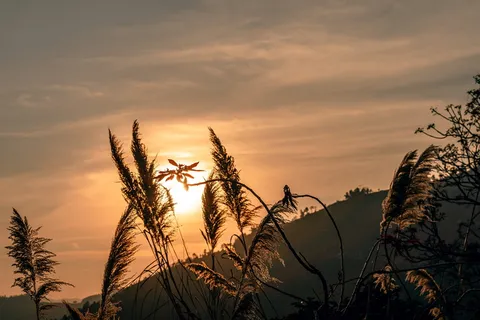 神奇的黄金时刻 神奇的黄金时刻