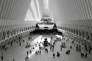 纽约，奥库卢斯，美国，纽约市，人民，黑人和白人，火车站，曼哈顿