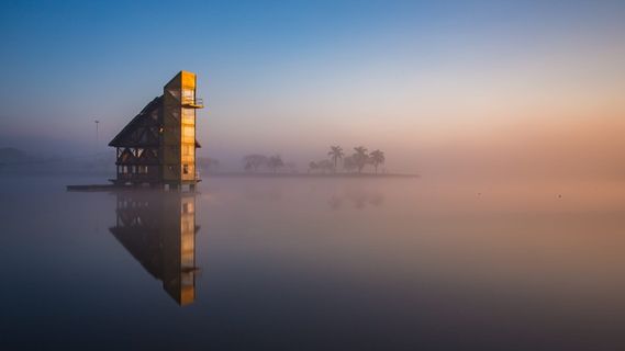 巴西，库里蒂巴，早晨，树木，平静，雾，沉思，禅