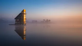 巴西，库里蒂巴，早晨，树木，平静，雾，沉思，禅