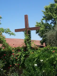 十字架、木材、室外、藤蔓、木制、杂草丛生、花园、基督教