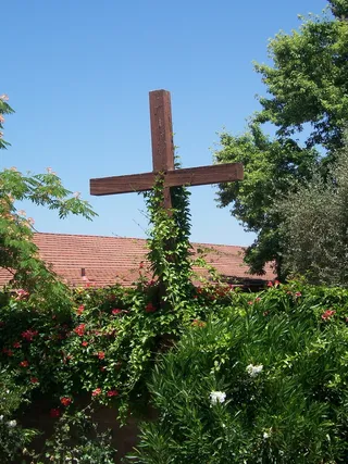 十字架、木材、室外、藤蔓、木制、杂草丛生、花园、基督教