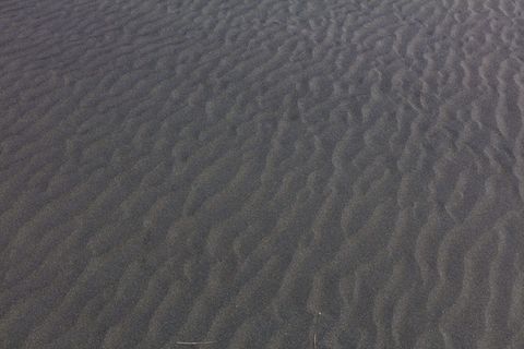灰色沙滩,黑色沙滩,新西兰,皮哈海滩,瓦夫海滩,沙滩,全框架 灰色沙滩,黑色沙滩,新西兰,皮哈海滩,瓦夫海滩,沙滩,全框架