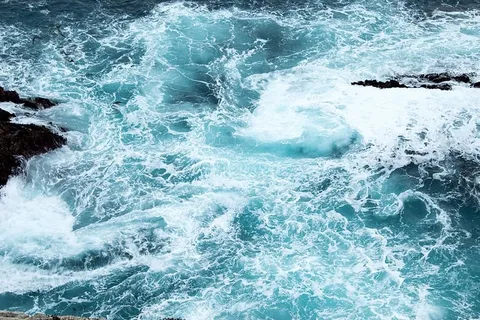 水体 水体