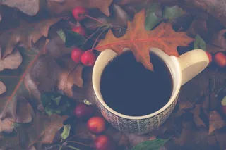 季节性、季节性、咖啡、水果、食物、自然、棕色、树叶