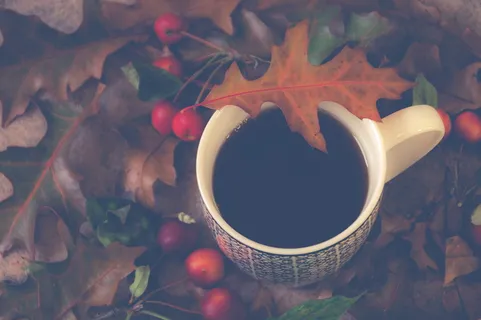 季节性、季节性、咖啡、水果、食物、自然、棕色、树叶 季节性、季节性、咖啡、水果、食物、自然、棕色、树叶