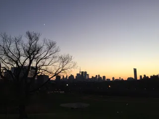 轮廓，城市天际线，建筑，建筑，基础设施，天空，树木，植物