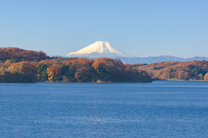 富士山，日本，风景，自然，蓝天，早山湖，秋叶，秋天