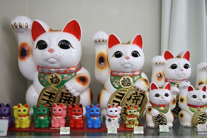 日本，*国际机场，东京，中国村，中国文化中心，旅游，猫，步行