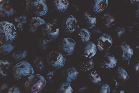 蓝莓水果摄影 蓝莓水果摄影