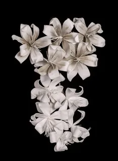 白色,人造,花,黑色,表面,白色花,不完整,百合 白色,人造,花,黑色,表面,白色花,不完整,百合