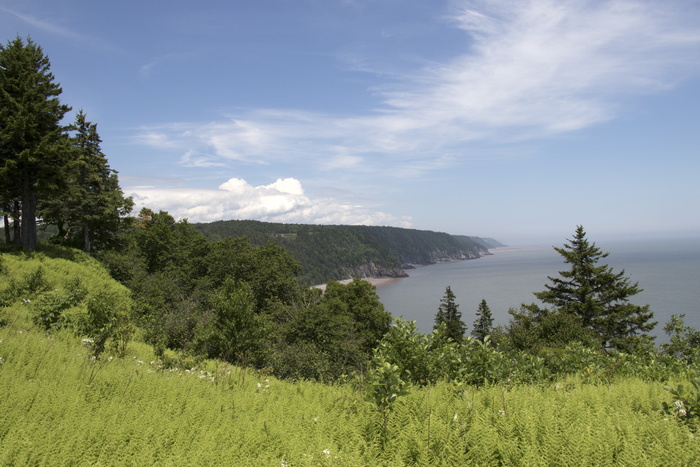 芬迪海岸，新不伦瑞克，海岸，芬迪，水，景观，海岸线，大西洋