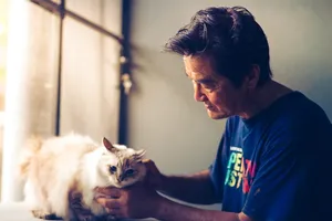 男人抱着猫，宠物，猫，动物，可爱，肖像，可爱，蓬松
