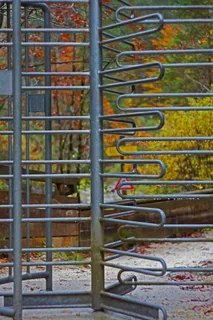 旋转门，金属，自然，铁，秋天，产量，没有人，天