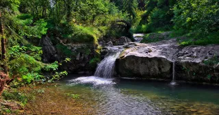 瀑布，小溪，水，自然，河流，急流，湖泊，森林