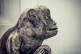 雕像, 雕塑, 艺术, 饰品, 动物, 爬行动物, 蜥蜴, 石像鬼