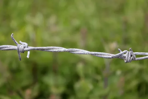 带刺铁丝网,围栏,分界,障碍,边界,安全,保护,限制 带刺铁丝网,围栏,分界,障碍,边界,安全,保护,限制