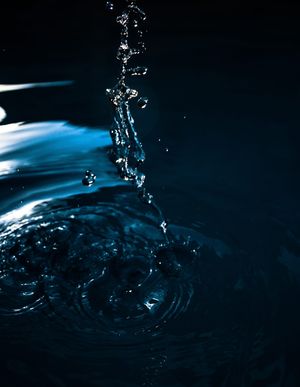 快，快，慢，静止，运动，快快门速度，黑暗，夏天