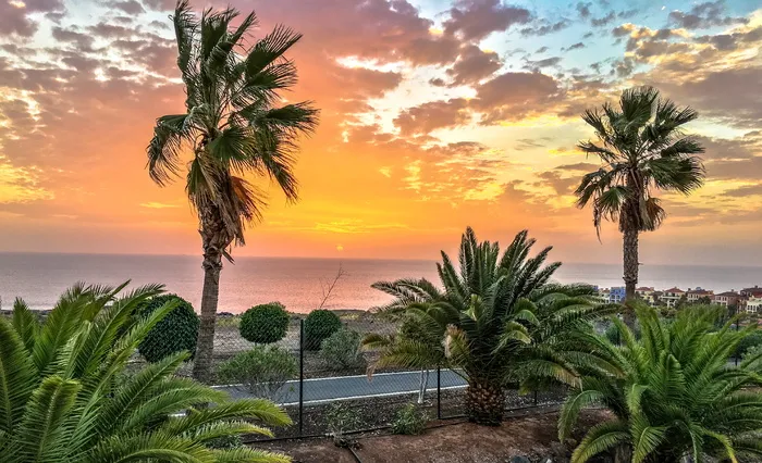 黄金时段道路和水体附近的热带树木