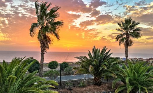 黄金时段道路和水体附近的热带树木