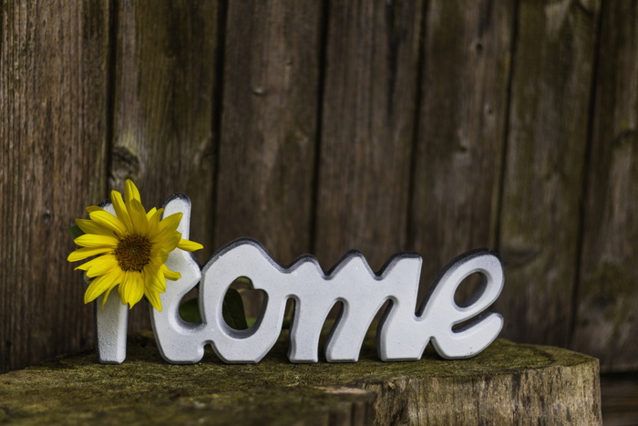 白色，家，站着，信，顶，原木，在家，太阳花