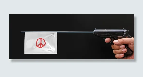 人，持枪，枪，和平标志旗，手枪，武器，旗帜，和声