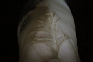 白色和米色纺织品