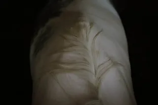 白色和米色纺织品