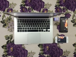 花，紫色，小工具，相框，技术，无线技术，计算机，通信