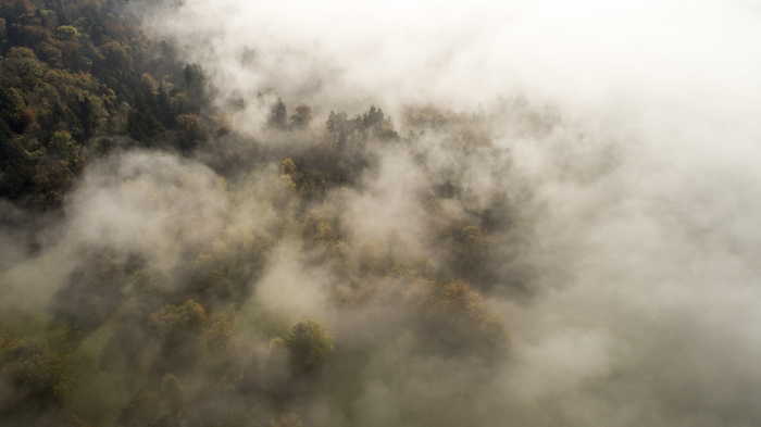 绿色，森林山，雾，上面的云，云，雷雨，风暴，阴郁