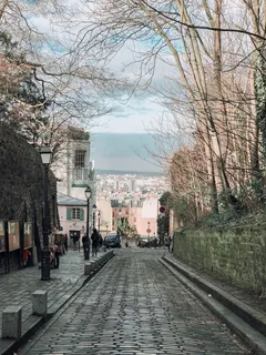 树旁街道上人们的照片 树旁街道上人们的照片