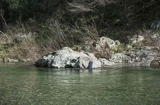 roc、罗氏、自然、灰色、水、河流、水道、绿色