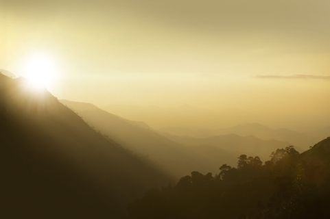 背光，美丽，黎明，黄昏，黄昏，雾，雾，金色的太阳