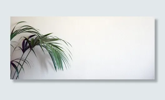 背景、网站、植物、墙壁、自然、图案、情节、纹理