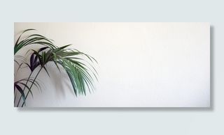 背景、网站、植物、墙壁、自然、图案、情节、纹理